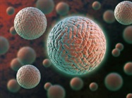 Advances in High-Content Imaging